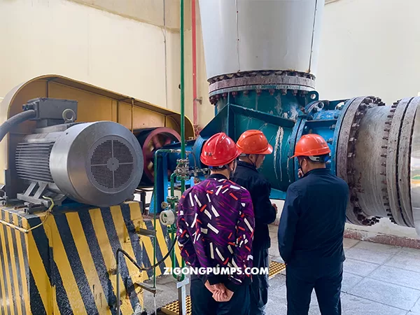 axial flow pump installation 2